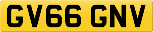 GV66GNV